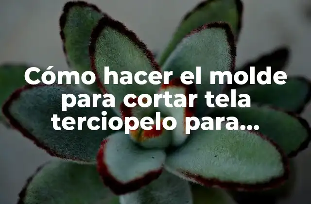 Cómo Hacer el Molde para Cortar Tela Terciopelo para Caballitos