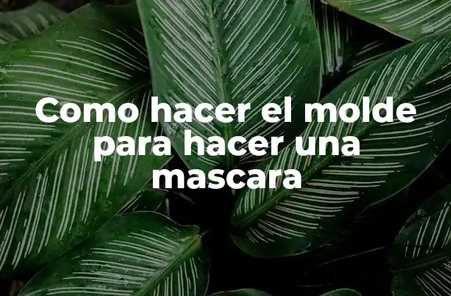 Como Hacer el Molde para Hacer una Mascara