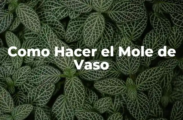 ¿Qué es el Mole de Vaso y para Qué Sirve?