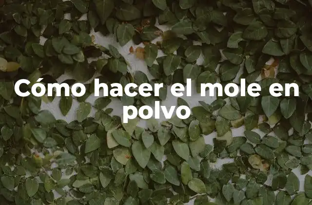 Cómo Hacer el Mole en Polvo