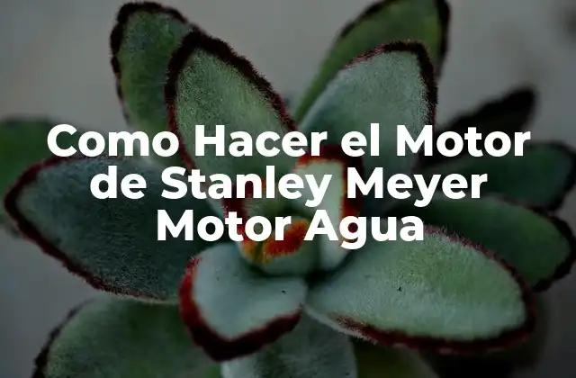 ¿Qué es el Motor de Stanley Meyer?