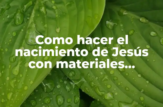 ¿Qué es un nacimiento de Jesús y para qué sirve?