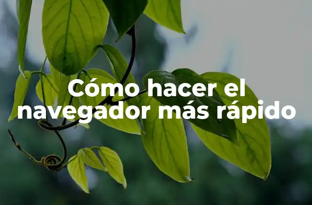 Cómo Hacer el Navegador Más Rápido