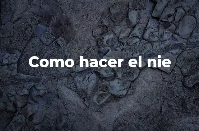 Como Hacer el Nie