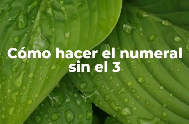 Cómo Hacer el Numeral sin el 3