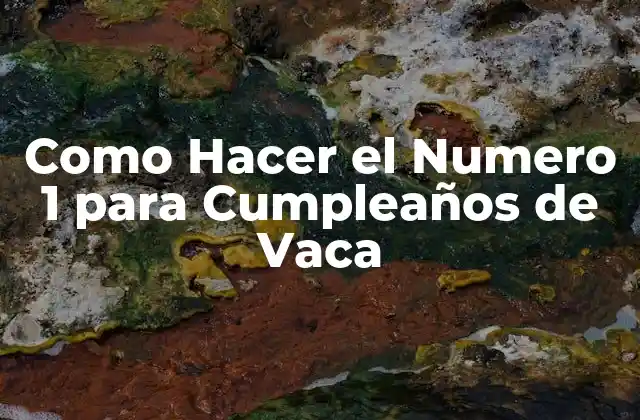 ¿Qué es el Numero 1 para Cumpleaños de Vaca?