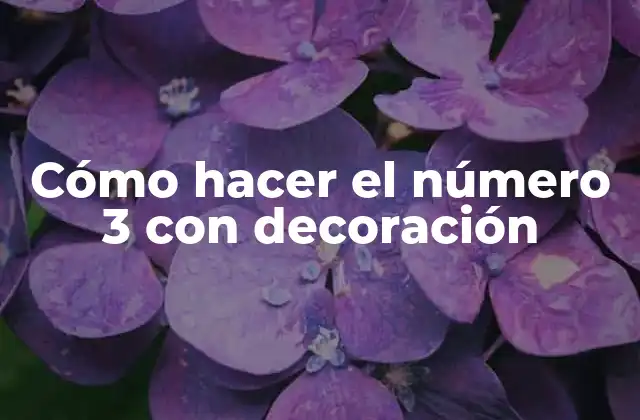 Cómo Hacer el Número 3 con Decoración