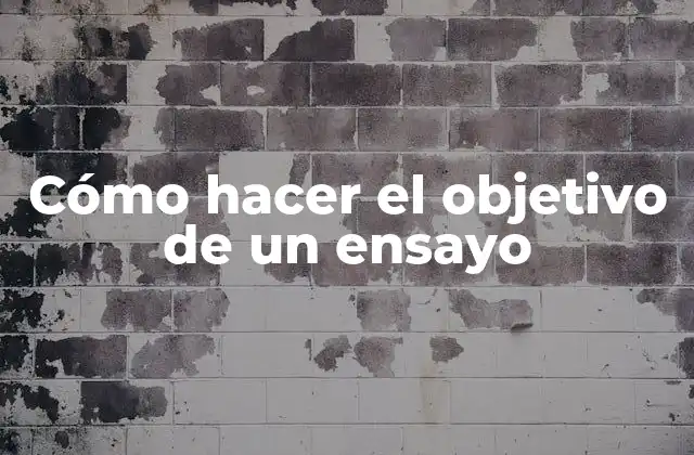 Cómo Hacer el Objetivo de un Ensayo