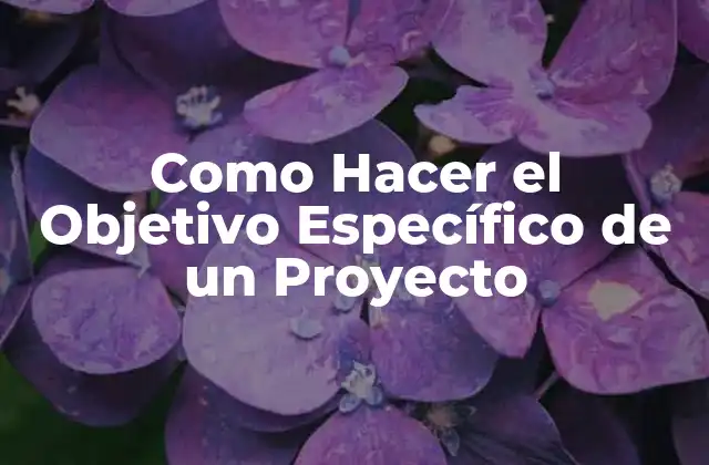 Como Hacer el Objetivo Específico de un Proyecto 2 Como Hacer el Objetivo Específico de un Proyecto