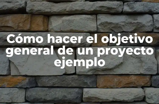 Cómo Hacer el Objetivo General de un Proyecto Ejemplo