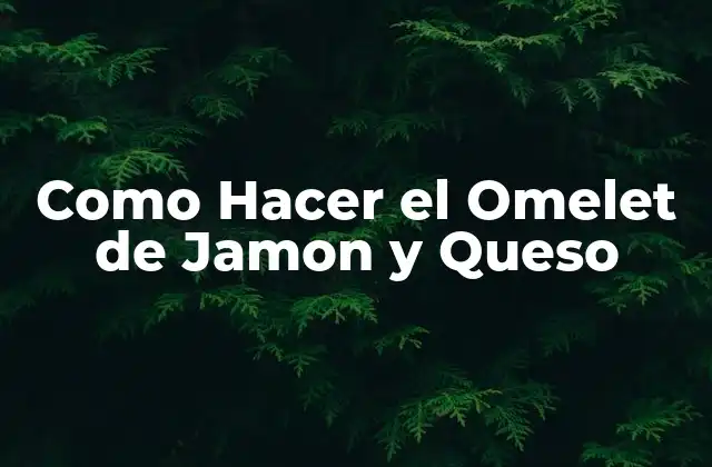 Como Hacer el Omelet de Jamon y Queso