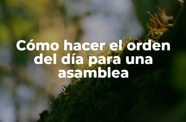 Cómo Hacer el Orden Del Día para una Asamblea