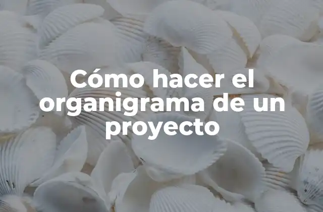 Cómo Hacer el Organigrama de un Proyecto