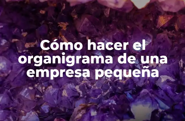 Cómo Hacer el Organigrama de una Empresa Pequeña