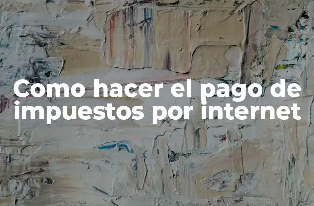Como Hacer el Pago de Impuestos por Internet
