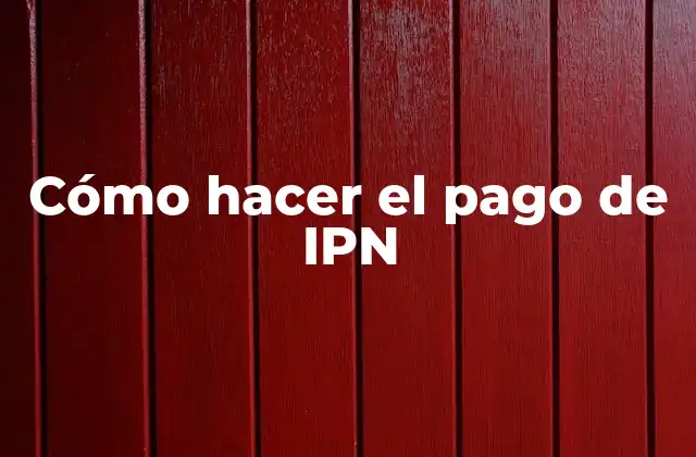 Cómo Hacer el Pago de Ipn