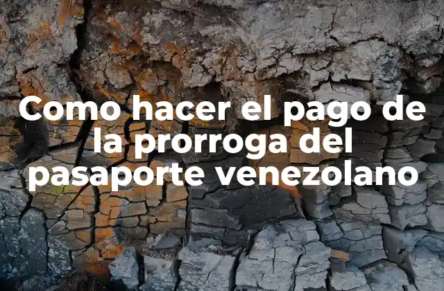 Como Hacer el Pago de la Prorroga Del Pasaporte Venezolano
