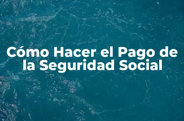 Cómo Hacer el Pago de la Seguridad Social