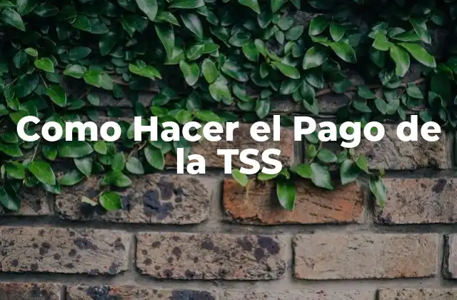 Como Hacer el Pago de la Tss