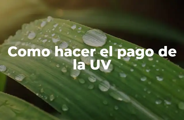 Como Hacer el Pago de la Uv