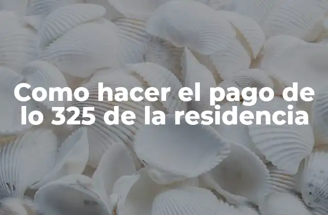 Como Hacer el Pago de Lo 325 de la Residencia