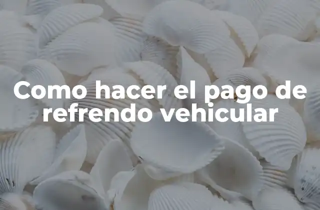 Como Hacer el Pago de Refrendo Vehicular