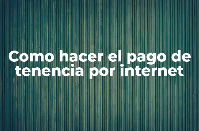 Como Hacer el Pago de Tenencia por Internet