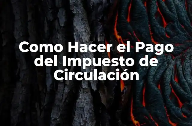 Como Hacer el Pago Del Impuesto de Circulación