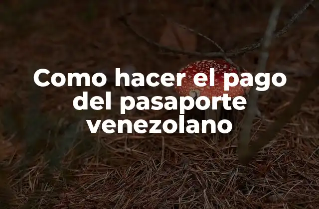 Como Hacer el Pago Del Pasaporte Venezolano