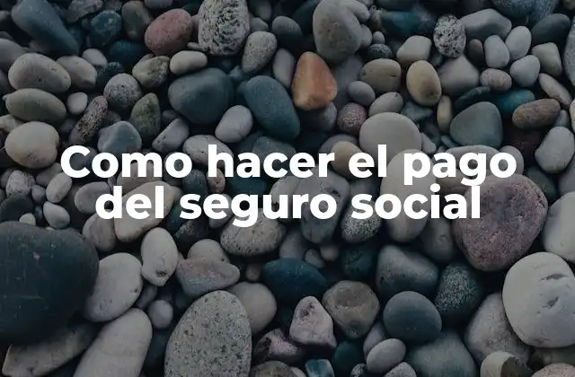 Como Hacer el Pago Del Seguro Social