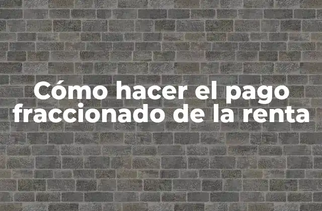 Cómo Hacer el Pago Fraccionado de la Renta 2 Cómo hacer el pago fraccionado de la renta