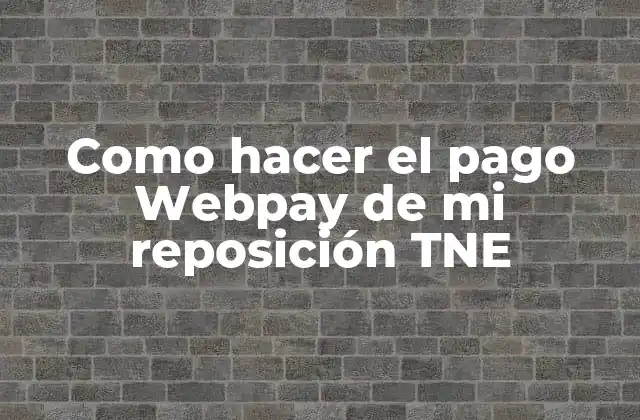 Como Hacer el Pago Webpay de Mi Reposición Tne