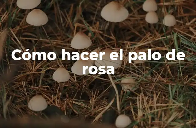 ¿Qué es el palo de rosa y para qué sirve?