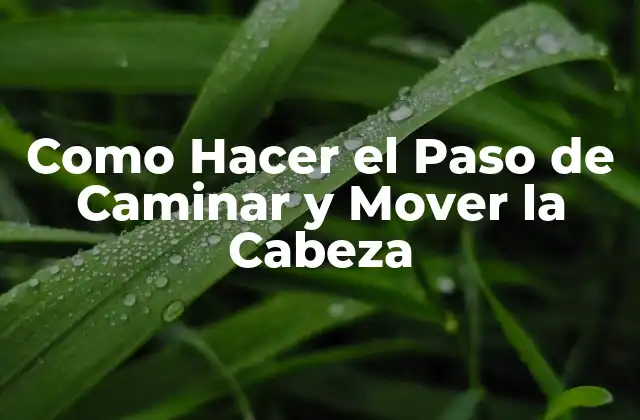 Como Hacer el Paso de Caminar y Mover la Cabeza