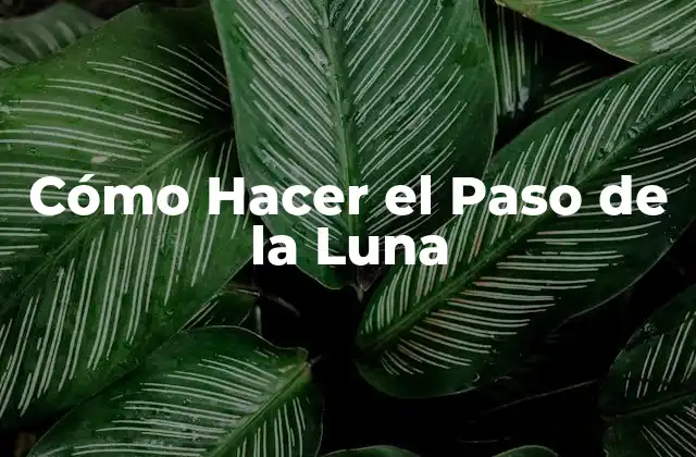 Cómo Hacer el Paso de la Luna 2 ¿Qué es el Paso de la Luna?