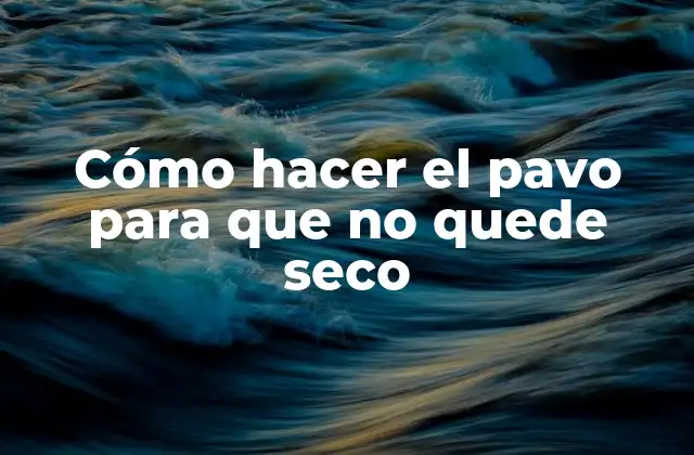 Cómo Hacer el Pavo para que No Quede Seco