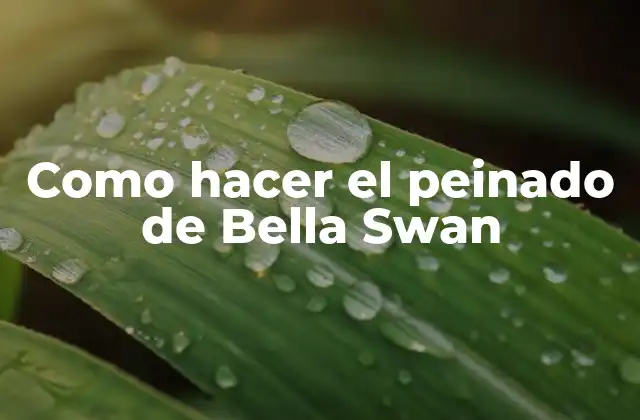 Como Hacer el Peinado de Bella Swan