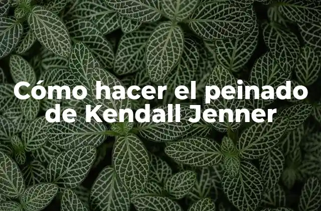 Cómo Hacer el Peinado de Kendall Jenner