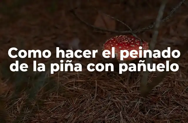 Como Hacer el Peinado de la Piña con Pañuelo