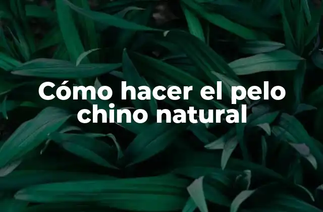 Cómo Hacer el Pelo Chino Natural