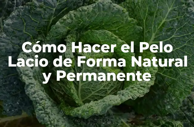 Cómo Hacer el Pelo Lacio de Forma Natural y Permanente