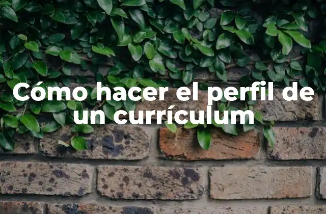 Cómo Hacer el Perfil de un Currículum