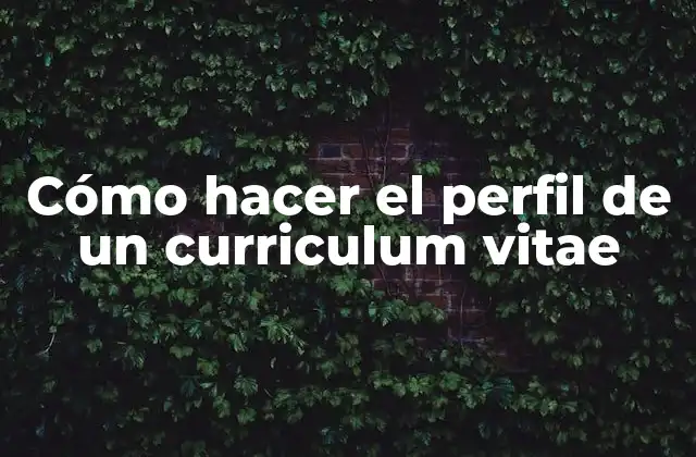 Cómo Hacer el Perfil de un Curriculum Vitae