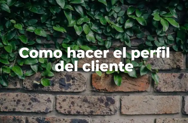 Como Hacer el Perfil Del Cliente