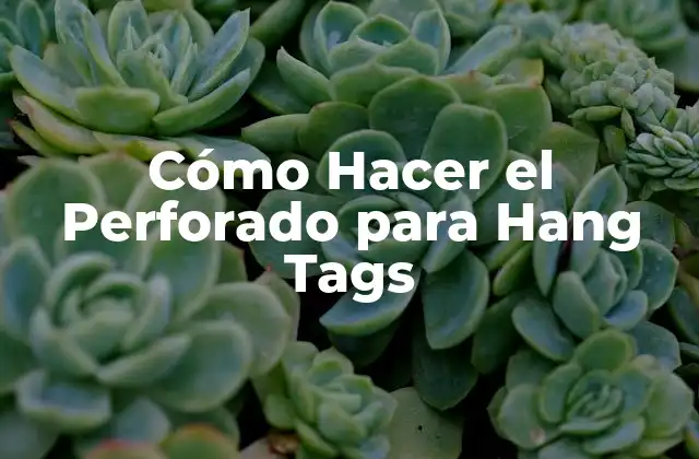 Cómo Hacer el Perforado para Hang Tags