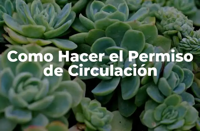 Como Hacer el Permiso de Circulación