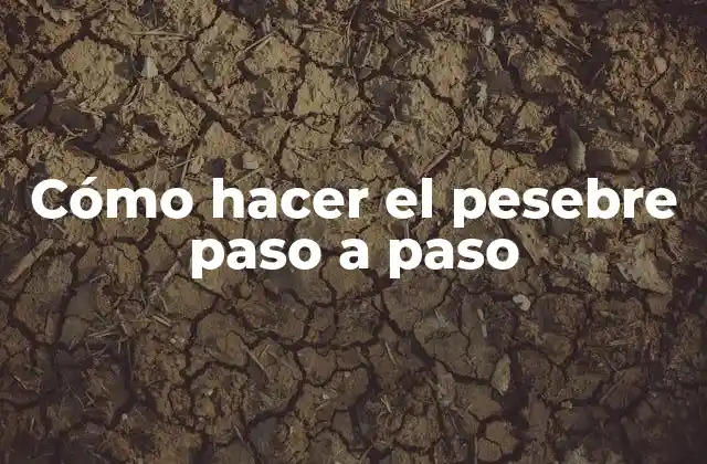 Cómo Hacer el Pesebre Paso a Paso