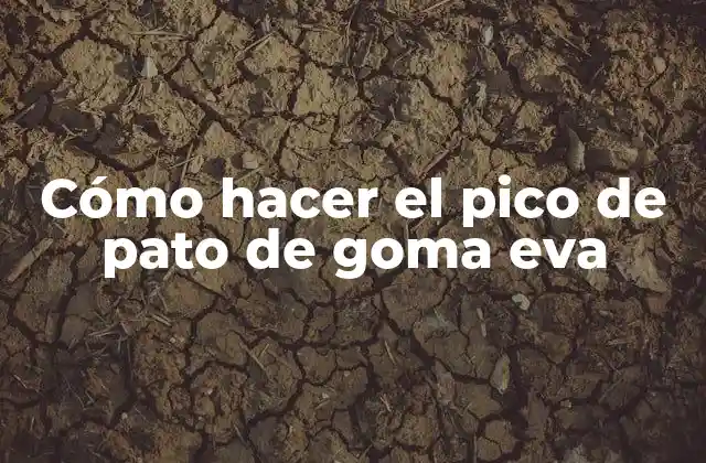 Cómo Hacer el Pico de Pato de Goma Eva