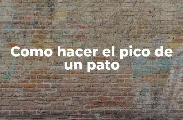 Como Hacer el Pico de un Pato