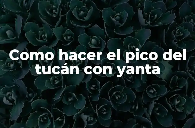 Como Hacer el Pico Del Tucán con Yanta